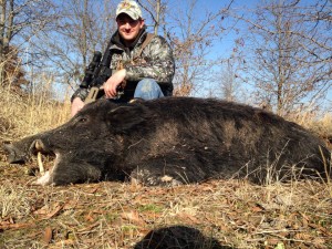 Texas Hog Hunting