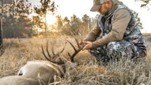 Whitetail Deer Hunting