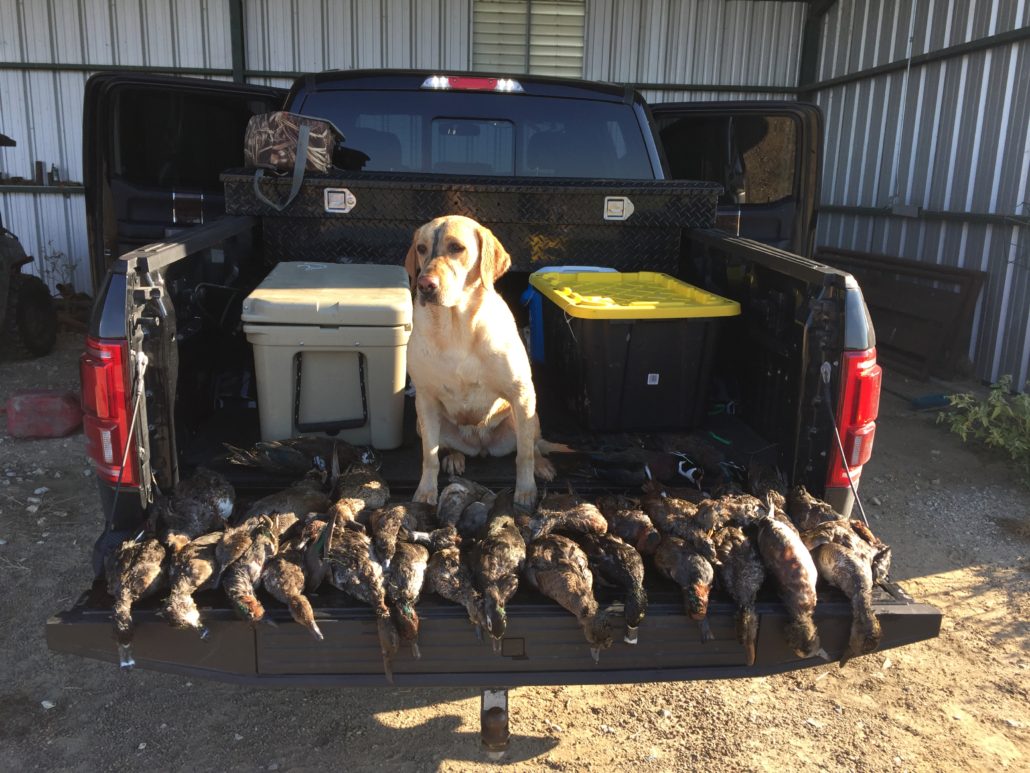 Duck Hunting Hunt FE Hill Ranch