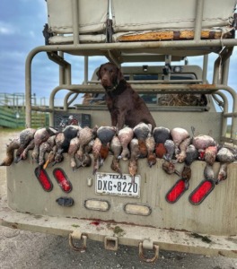Duck Hunting